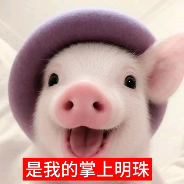 关你什么柿