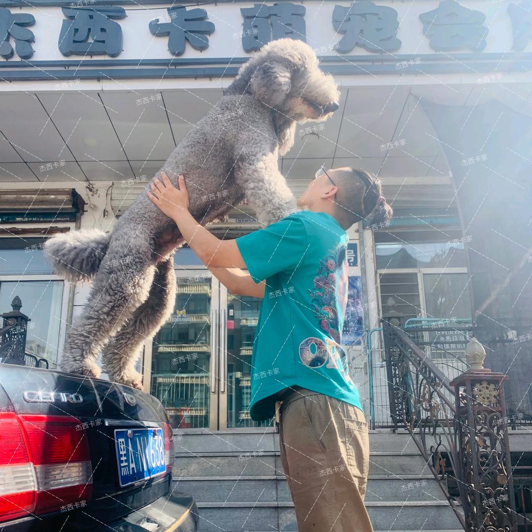 杰西卡巨贵
