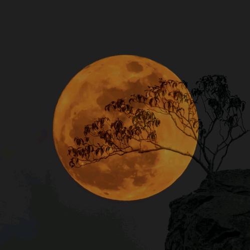 浠浠好物百货店