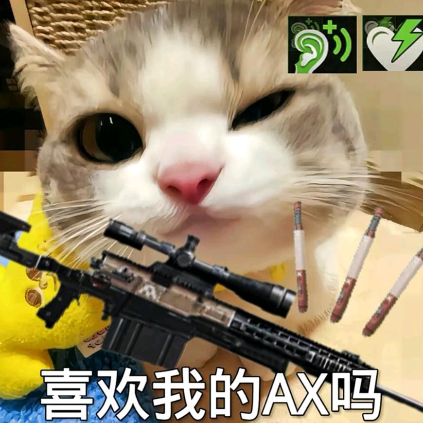 AX（暗区突围）