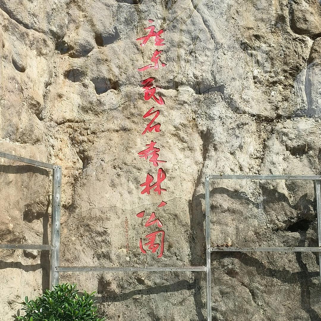 永远只爱你一个人