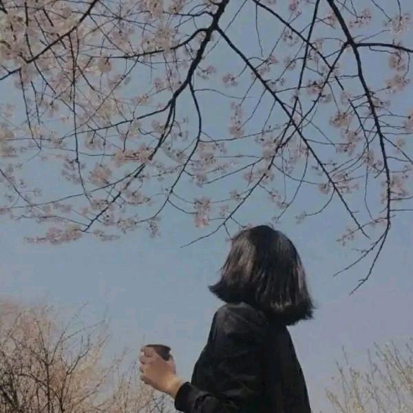 晚照
