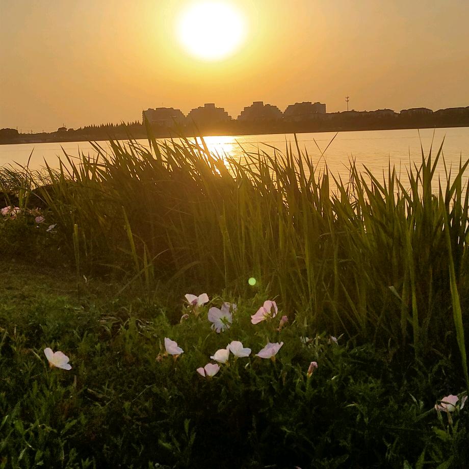 糖果屋（●＾o＾●）