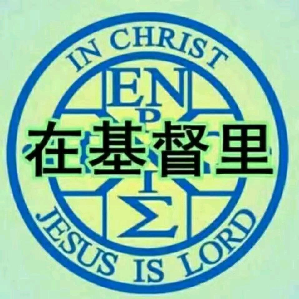 爱吃营养米糊的李泰头像