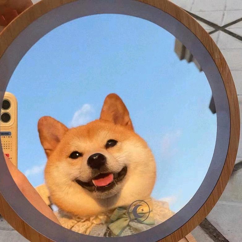 发发
