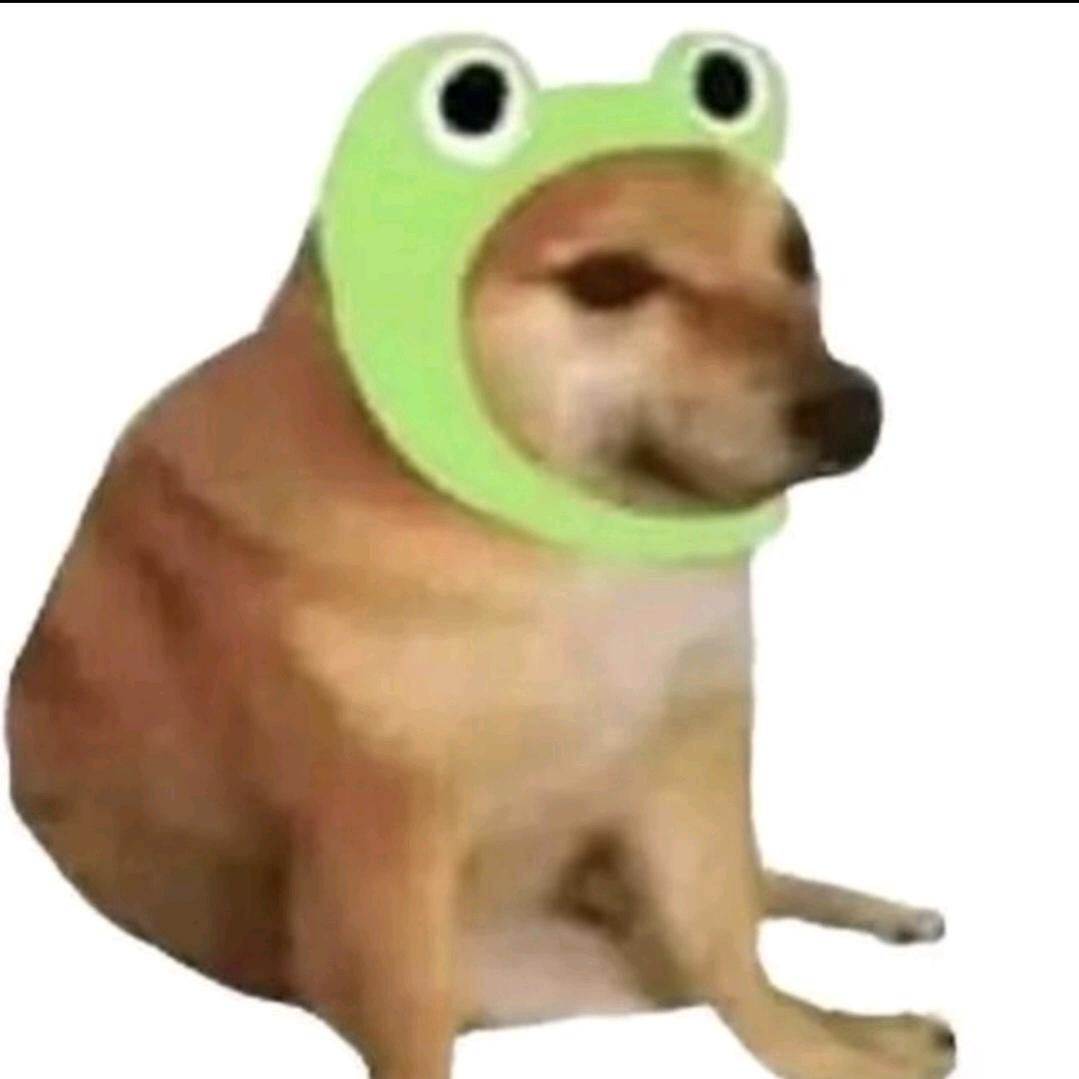 不念过往揽风月