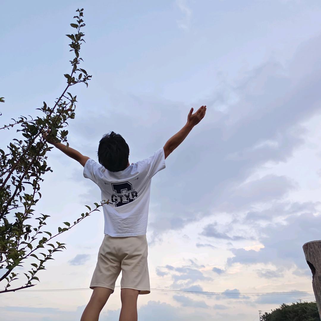 划一