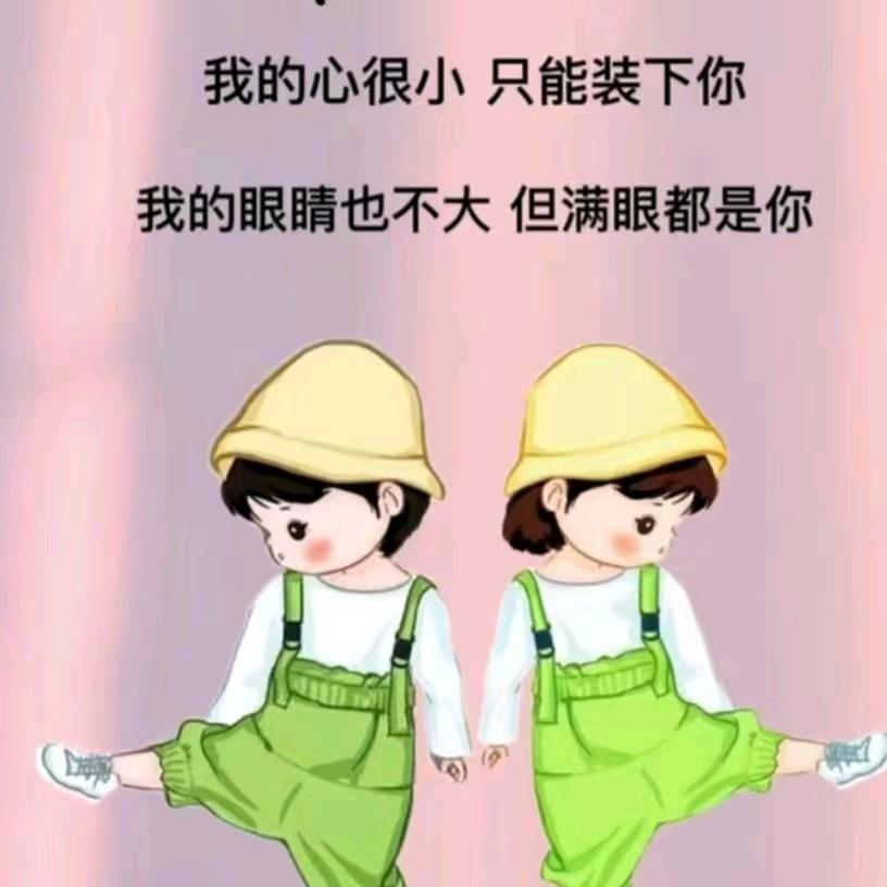 小小飞