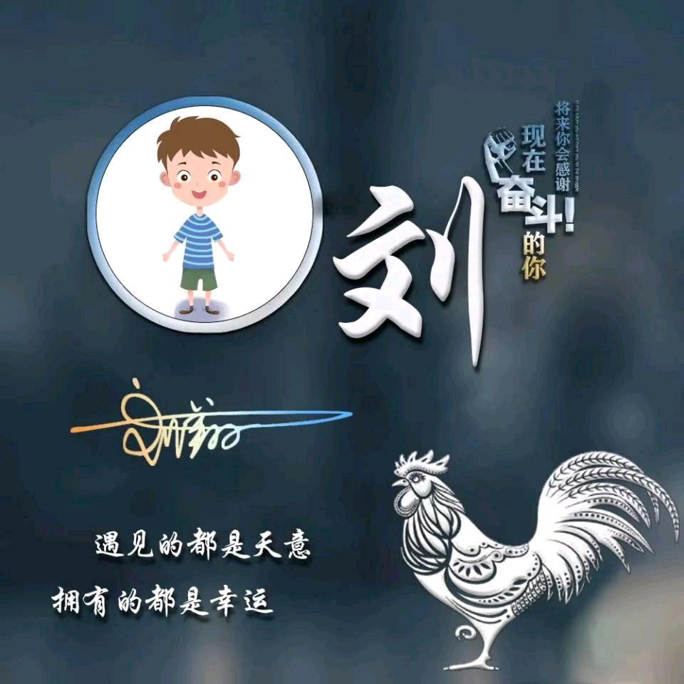 【向往神鹰】