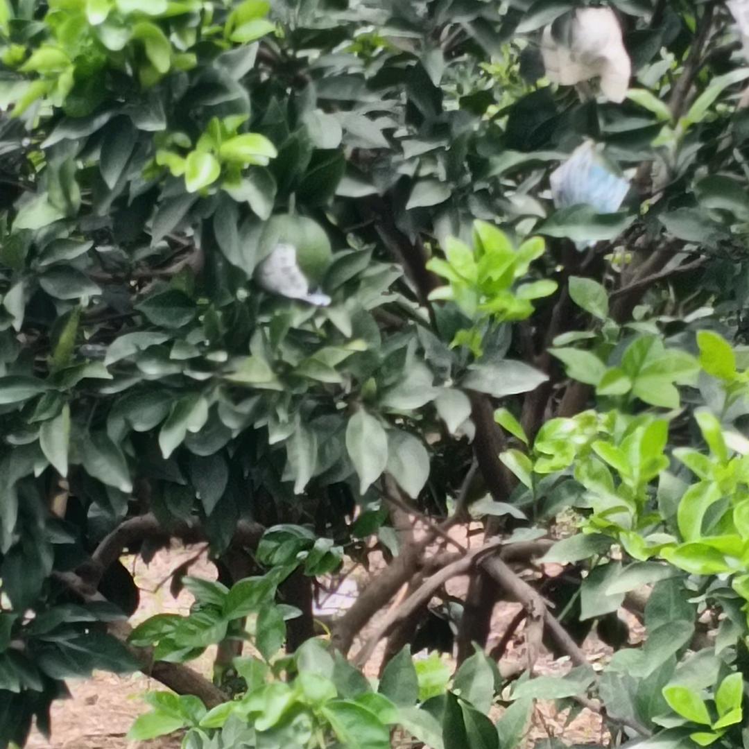 用户4175401735521
