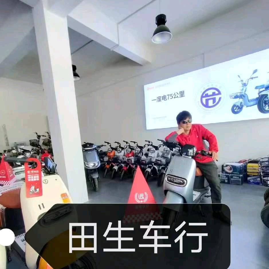 台铃电动车(丁集店)