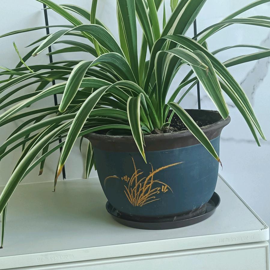 永不后悔，