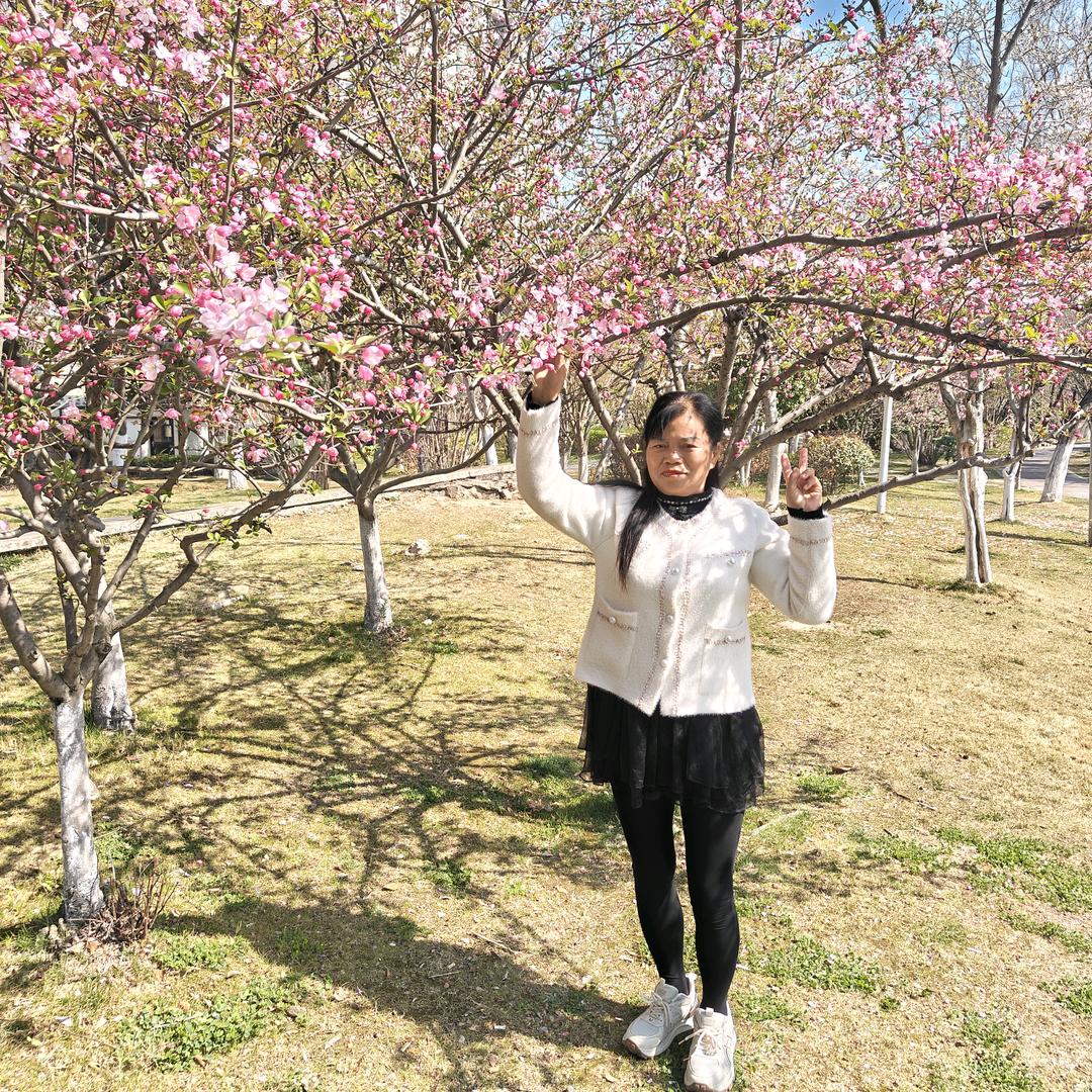 鲍羽晨奶奶