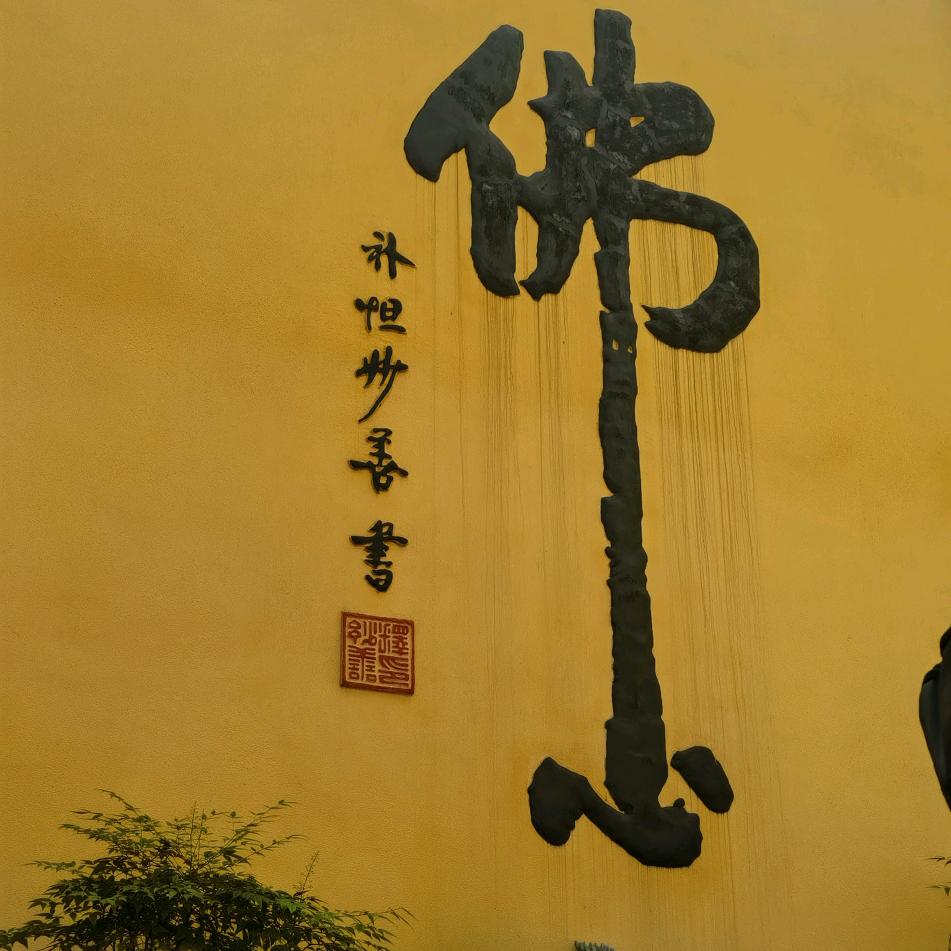 苏夜不解