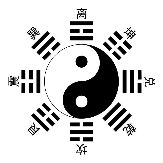 菩提•叶🙏🍃🍂🍃