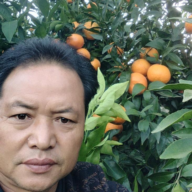 陈氏果蔬种植园