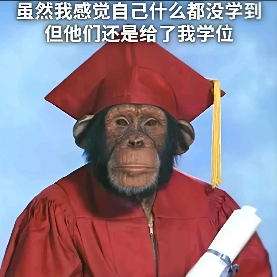 抽象带师兄(延毕版)