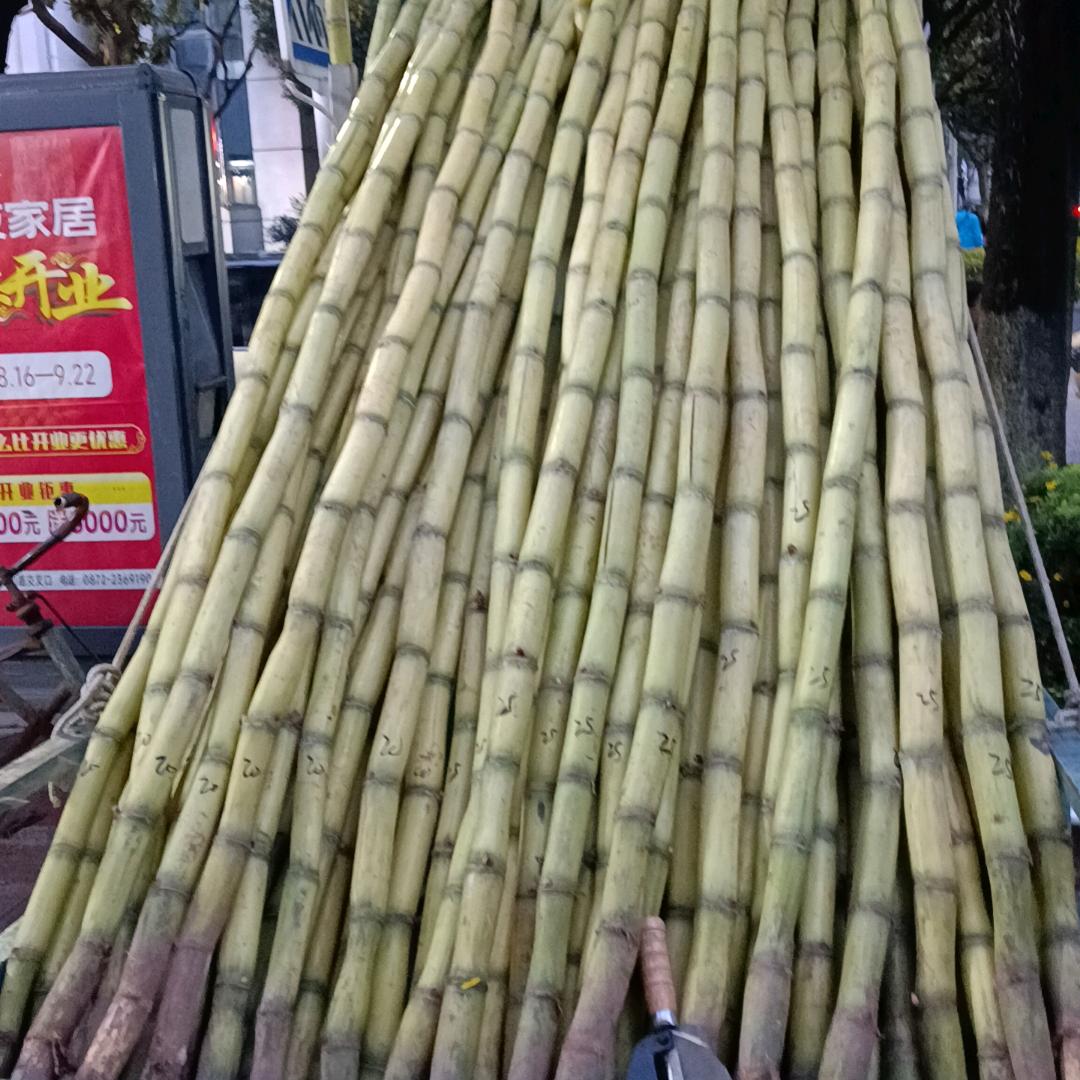 小左水果