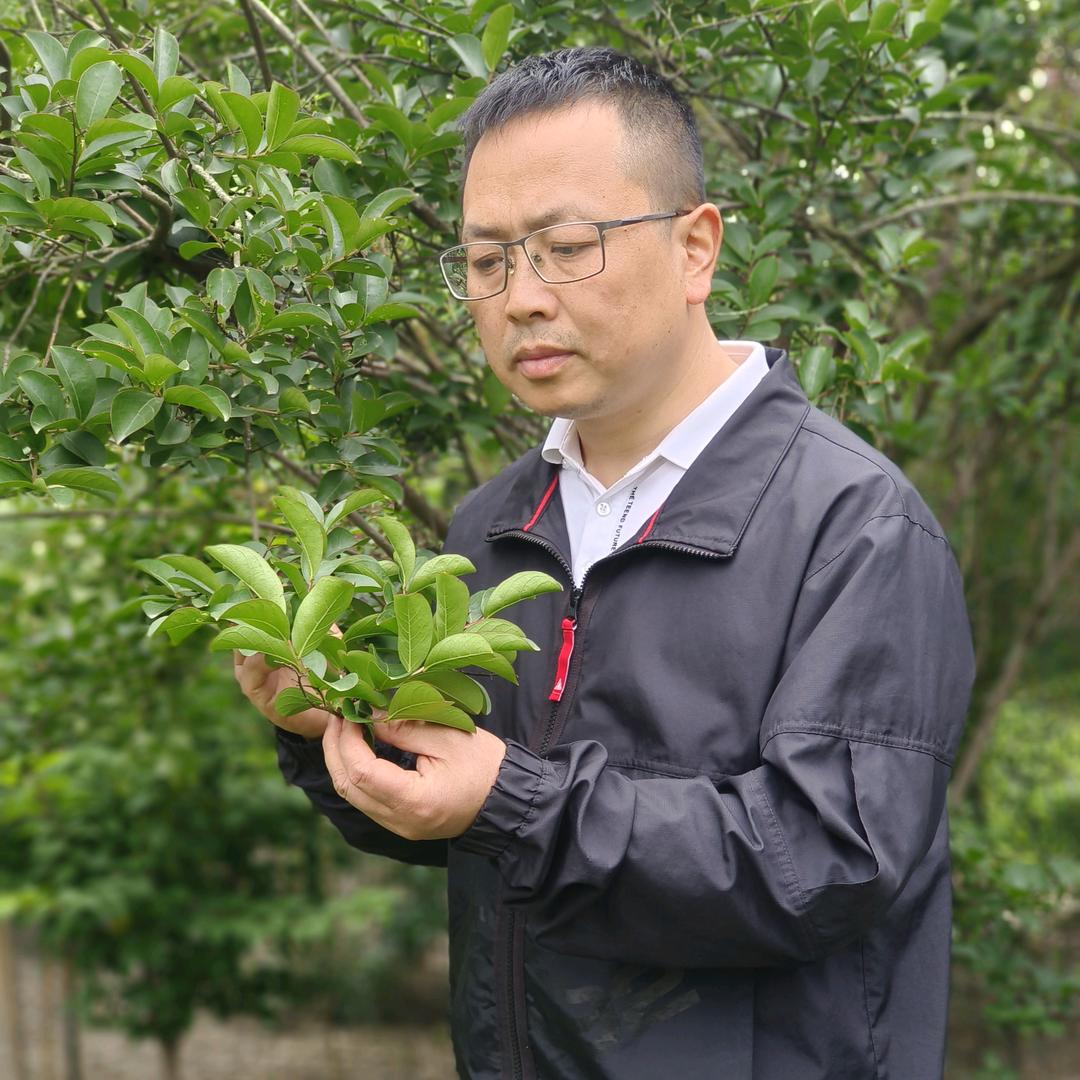 农技瞿老师（温江长青农资经营部）