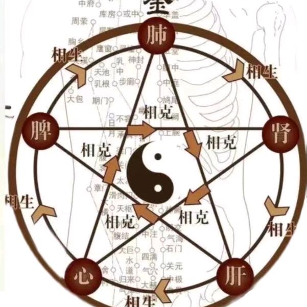 徒手骨盆，无痛催乳，颈肩腰腿疼