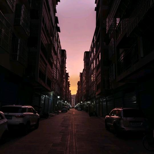紫槐山路