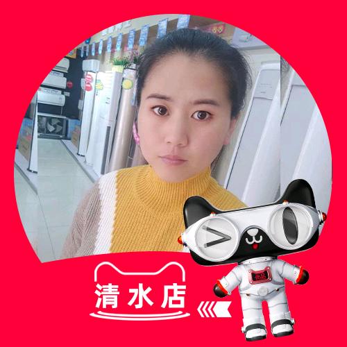 清水镇 天猫优品电器体验店