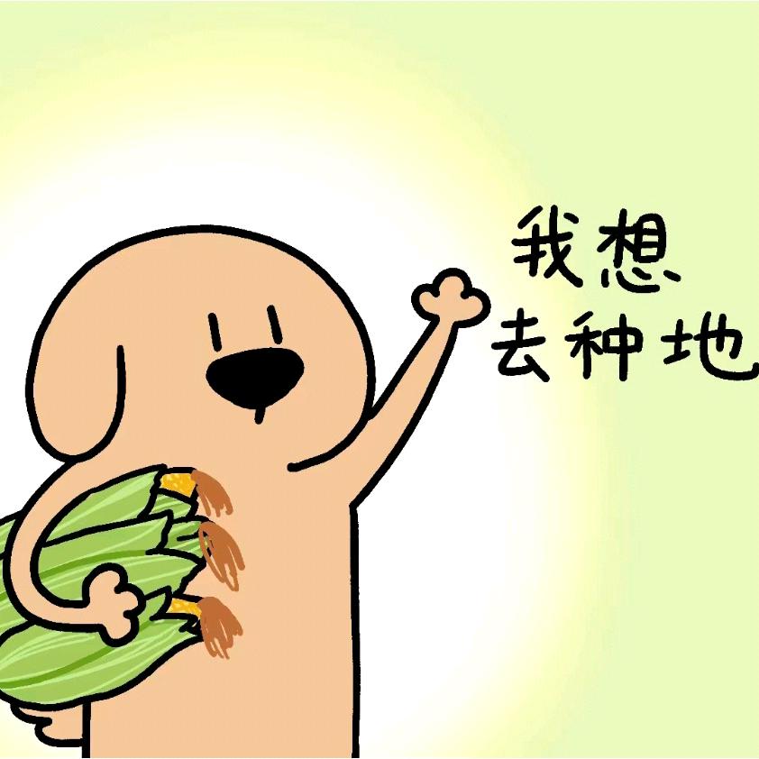 苹果需要蘸蜂蜜