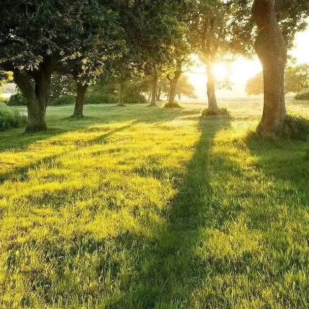 阳光依旧ྃꦿ҉᭄ྃꦼ҉༺