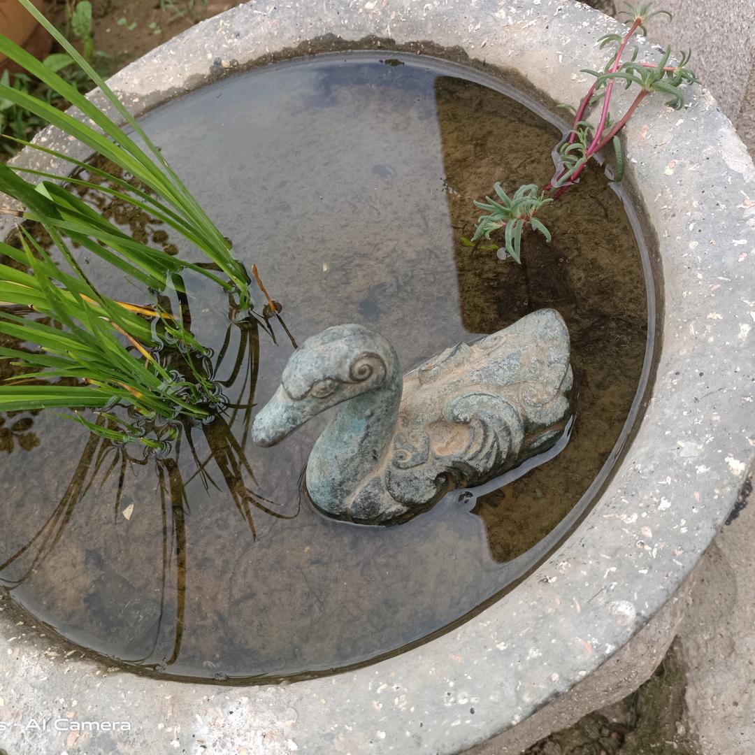 坚持