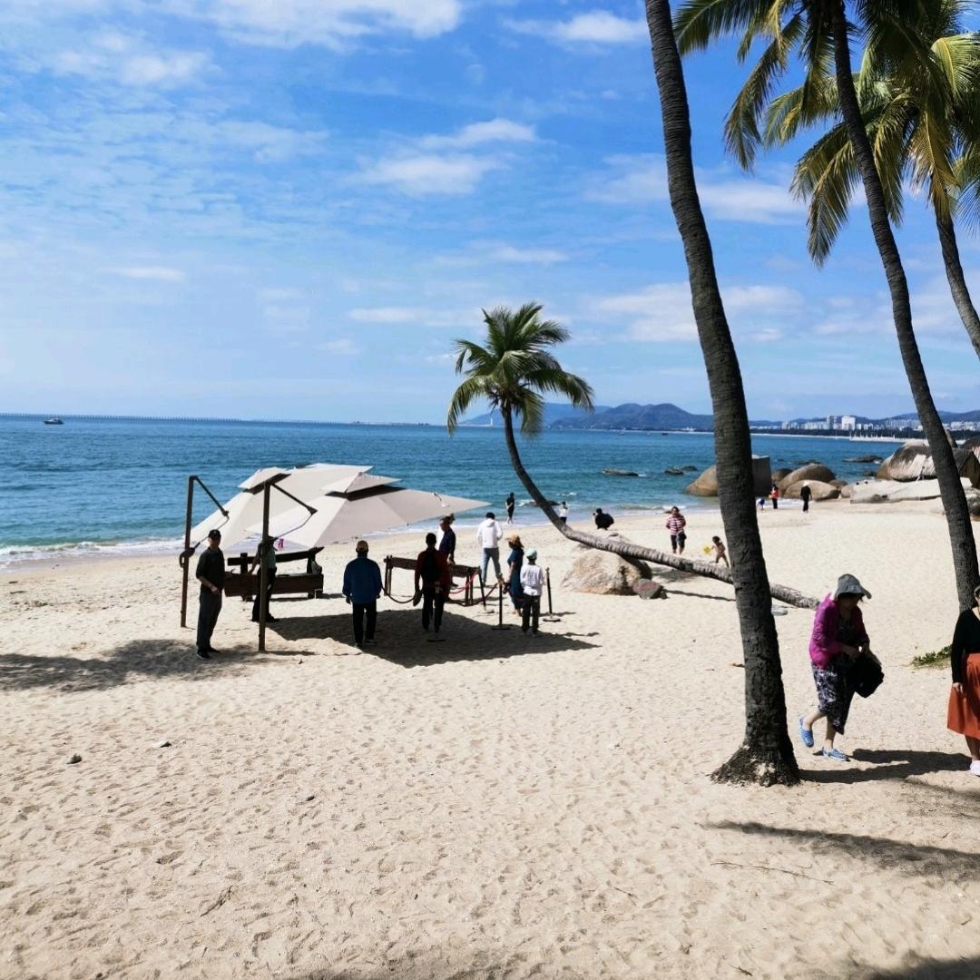 糟粕醋海鲜锅