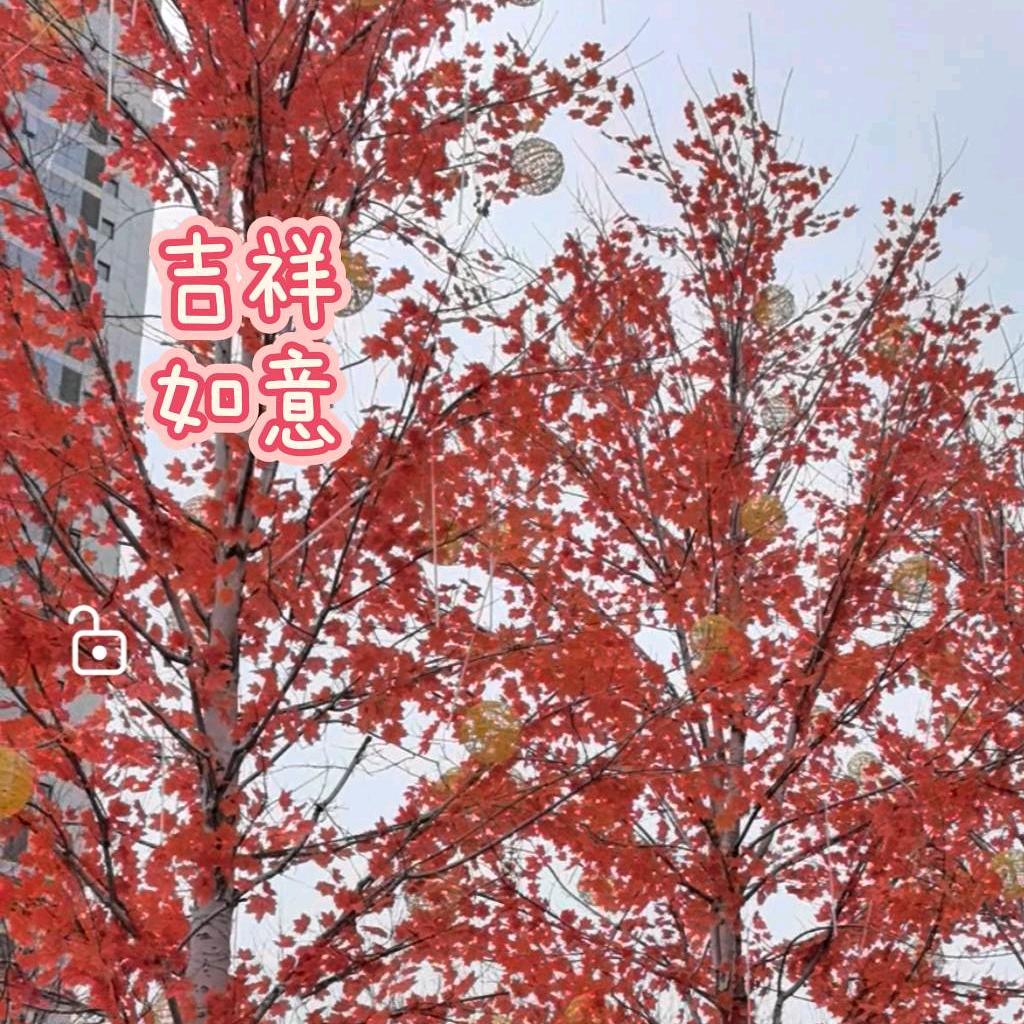 好明