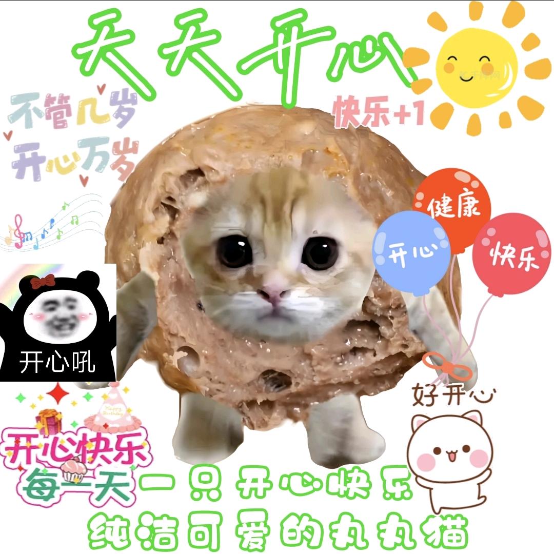 开心meme大家族