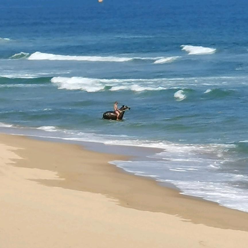 我们家的.........