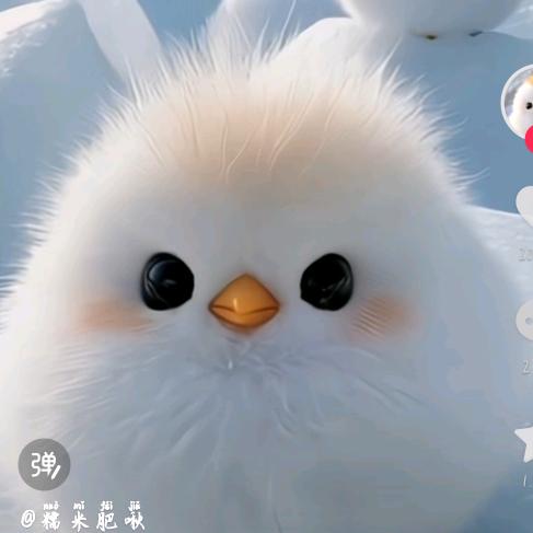 养乐多