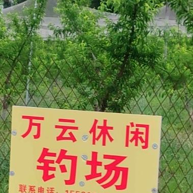 三缺一（万云休闲钓场）