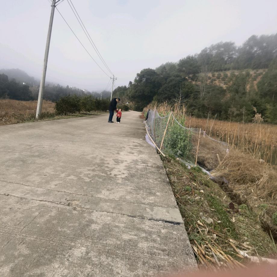 冬至阳生春又来