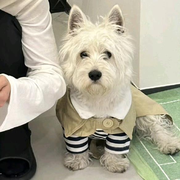 喝点椰子水