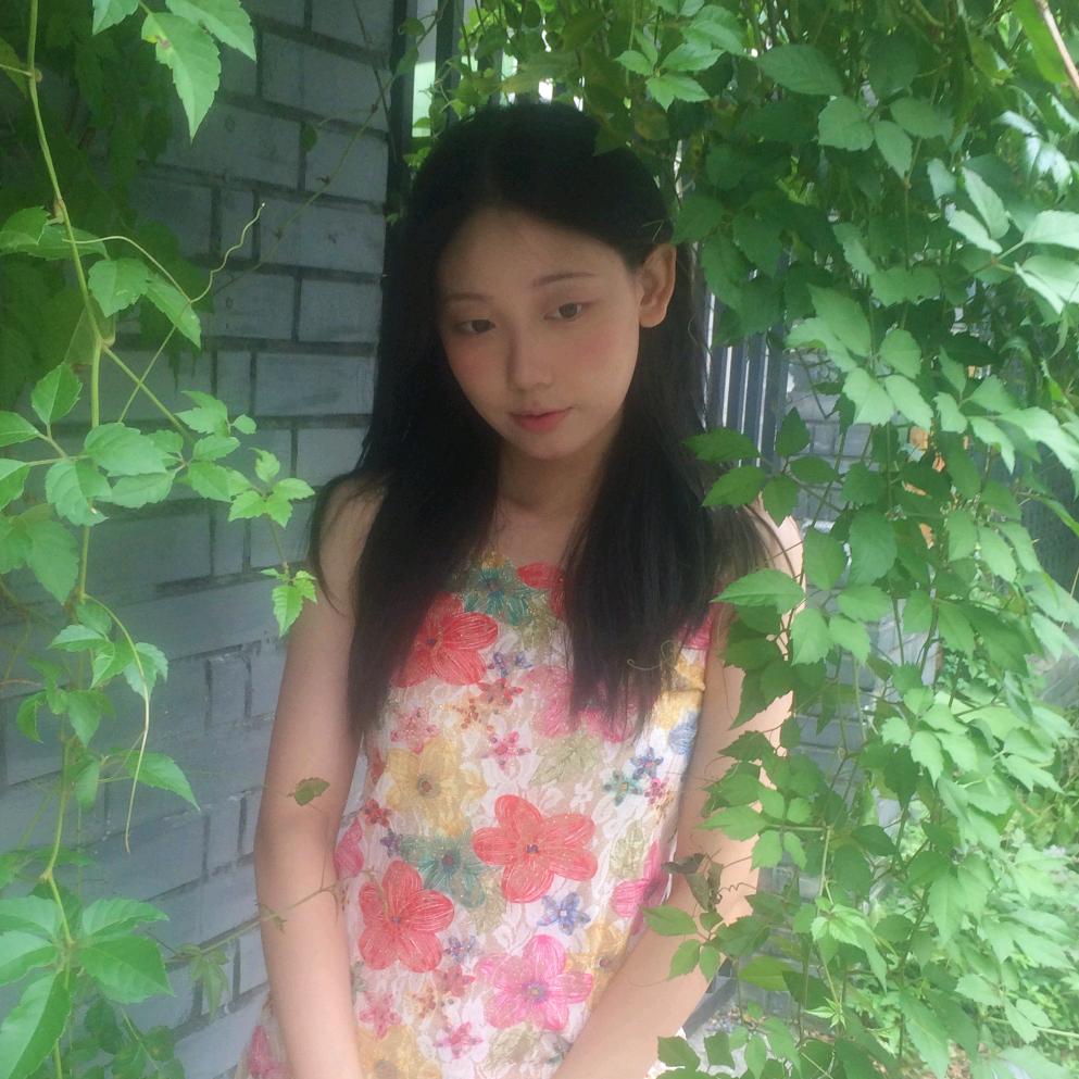猫猫虫