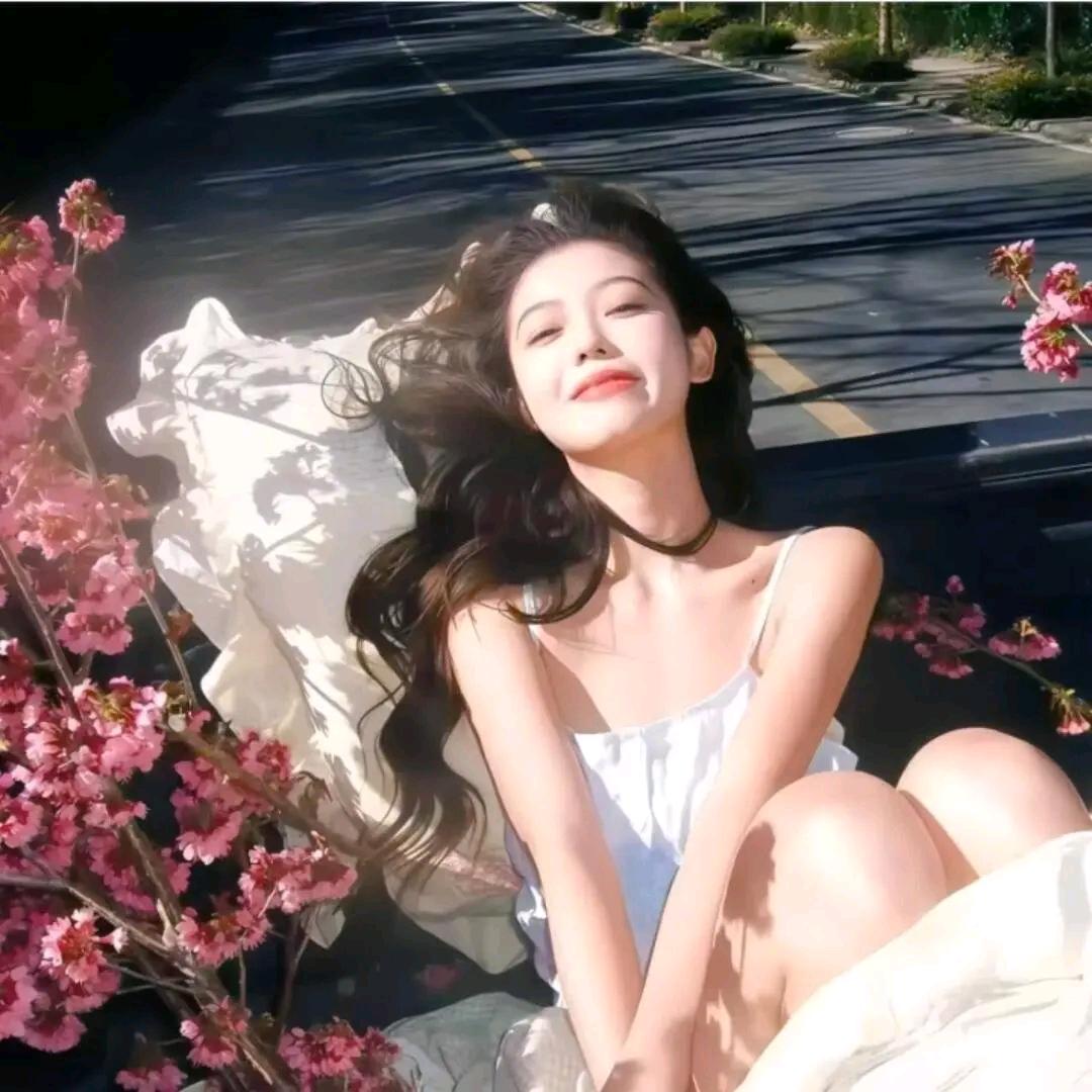 怀中猫·♡