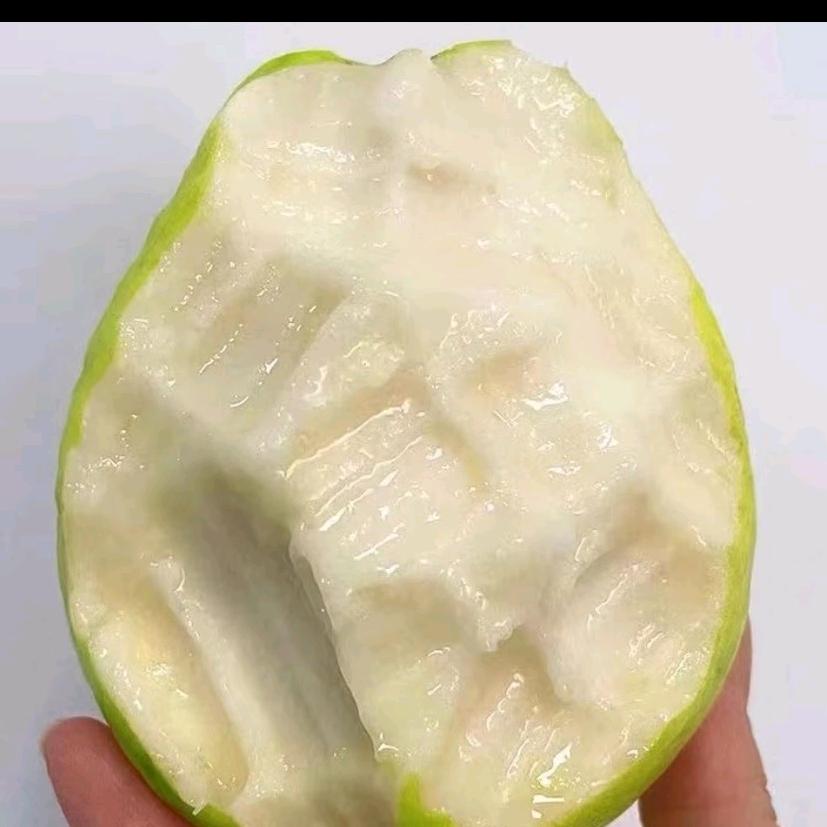 卡卡看到