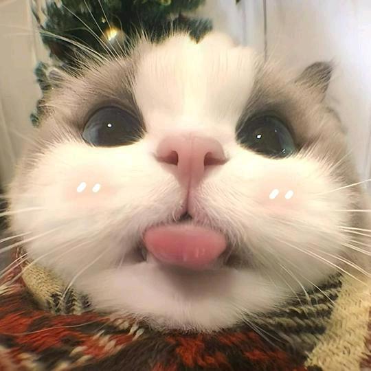 扛刀