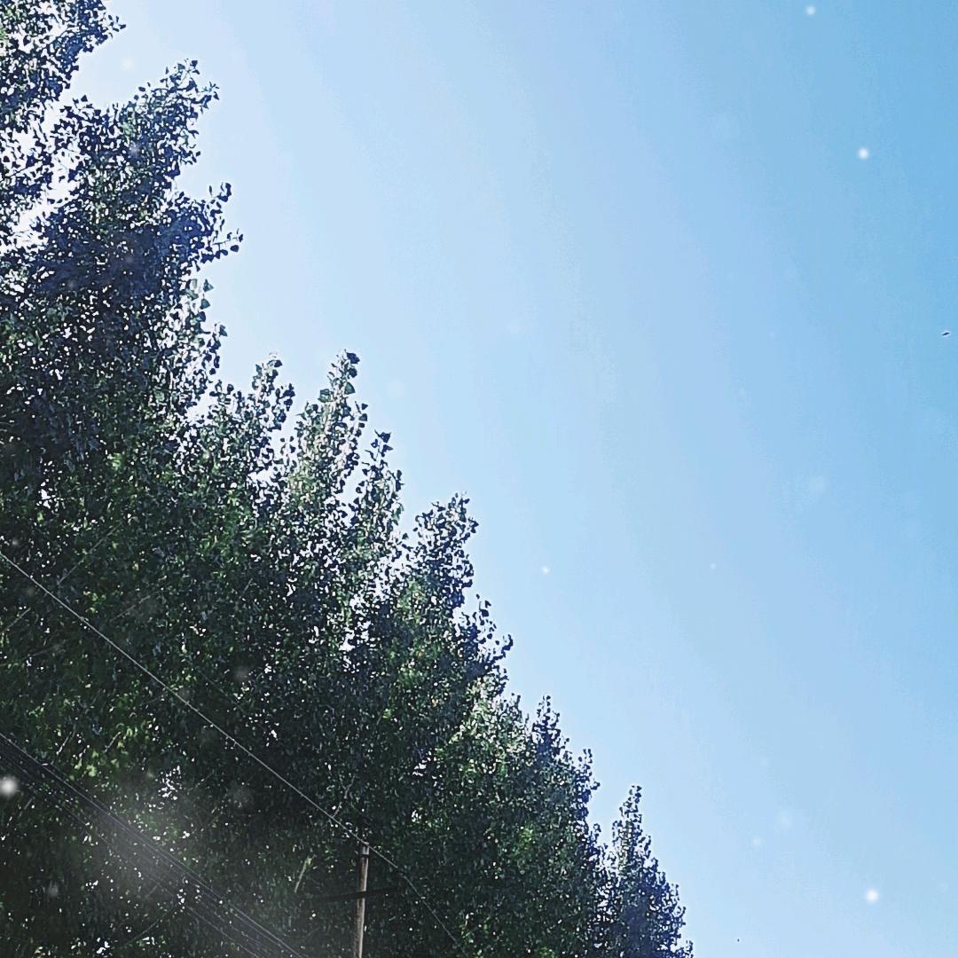 顾清檬