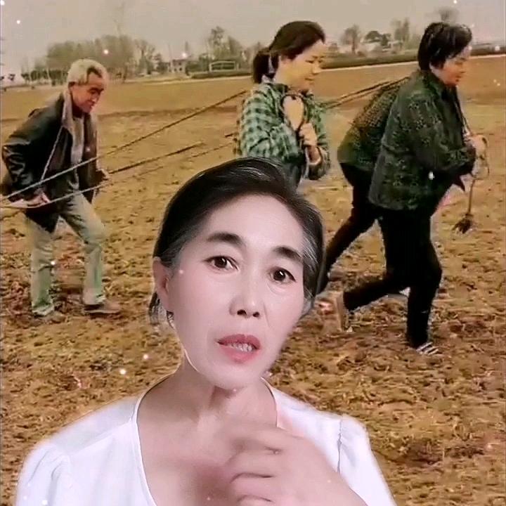 蜜枣