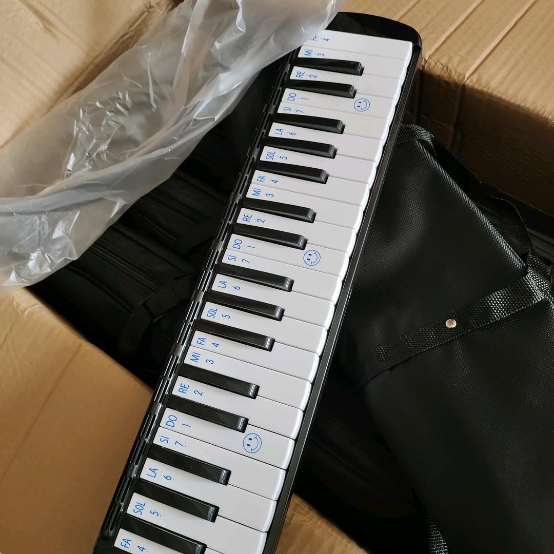 口风琴🎹教学