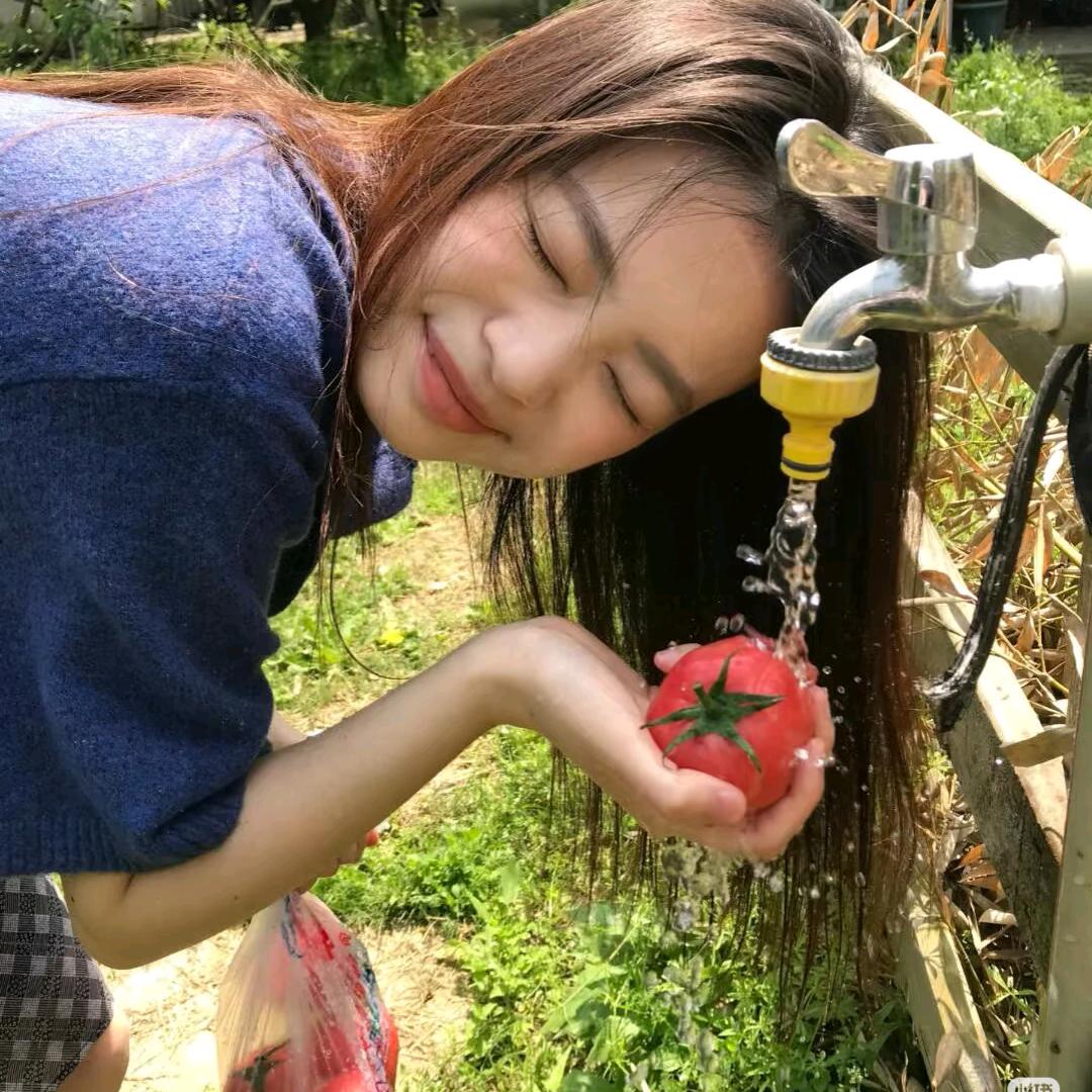 开心洋柿子🍅