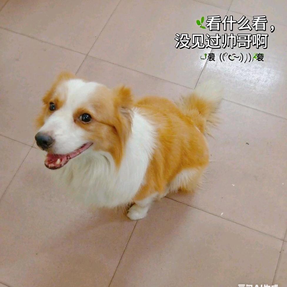 与你携手