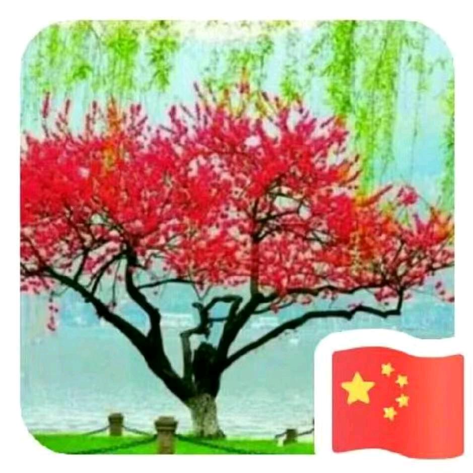 萍水相逢