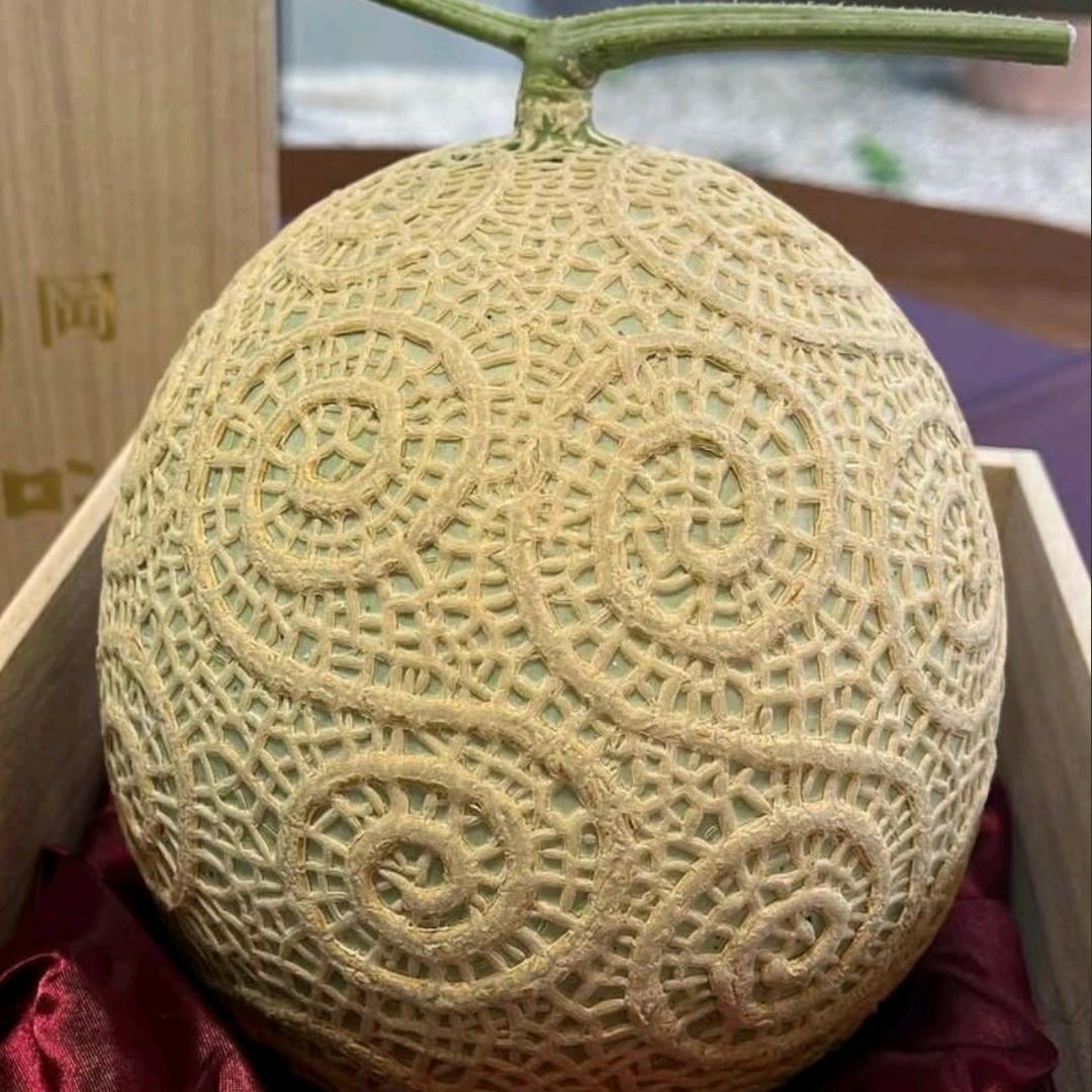 刘文博