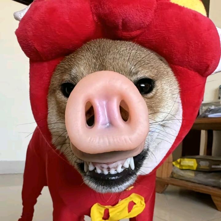 😎
