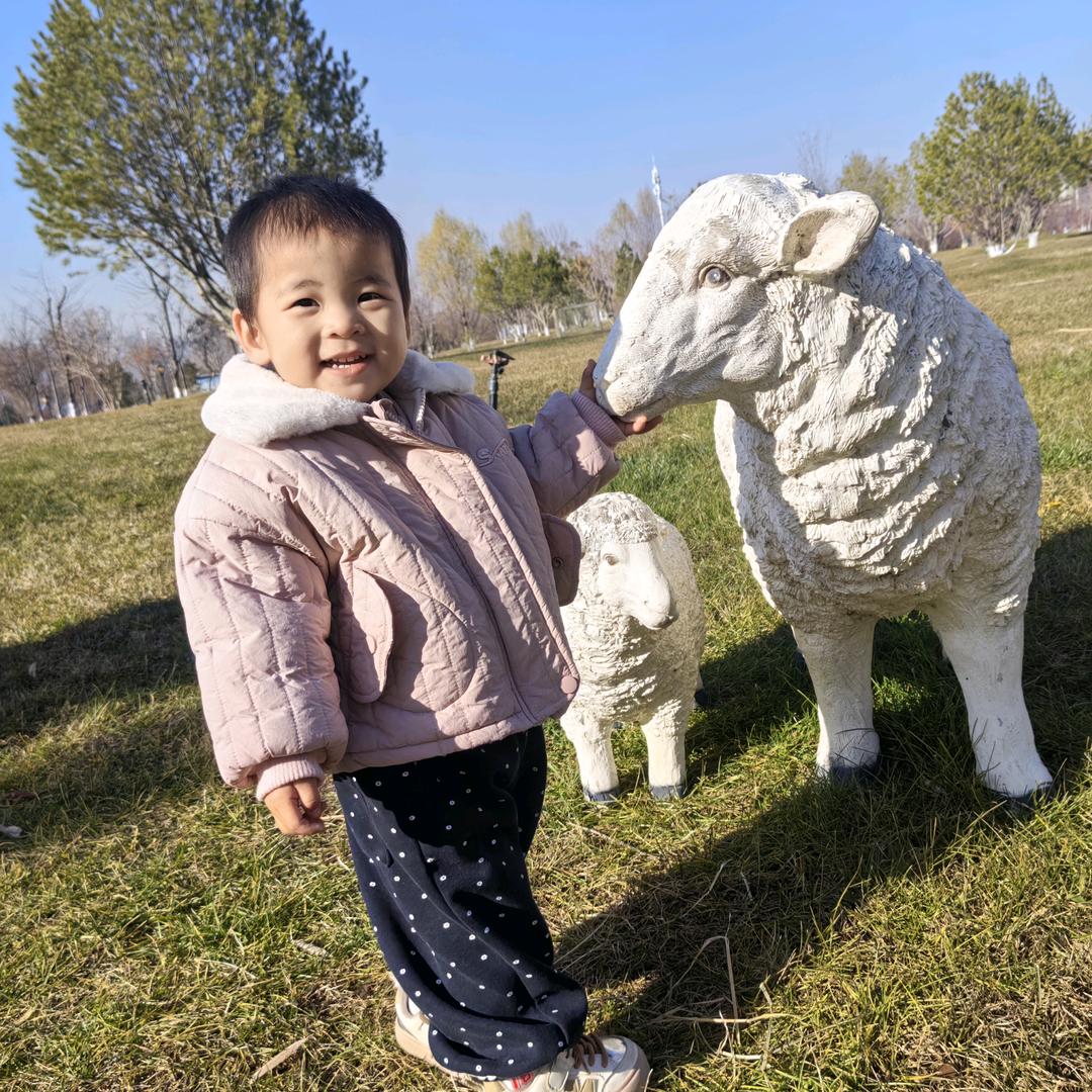 不乱于心，不困于情